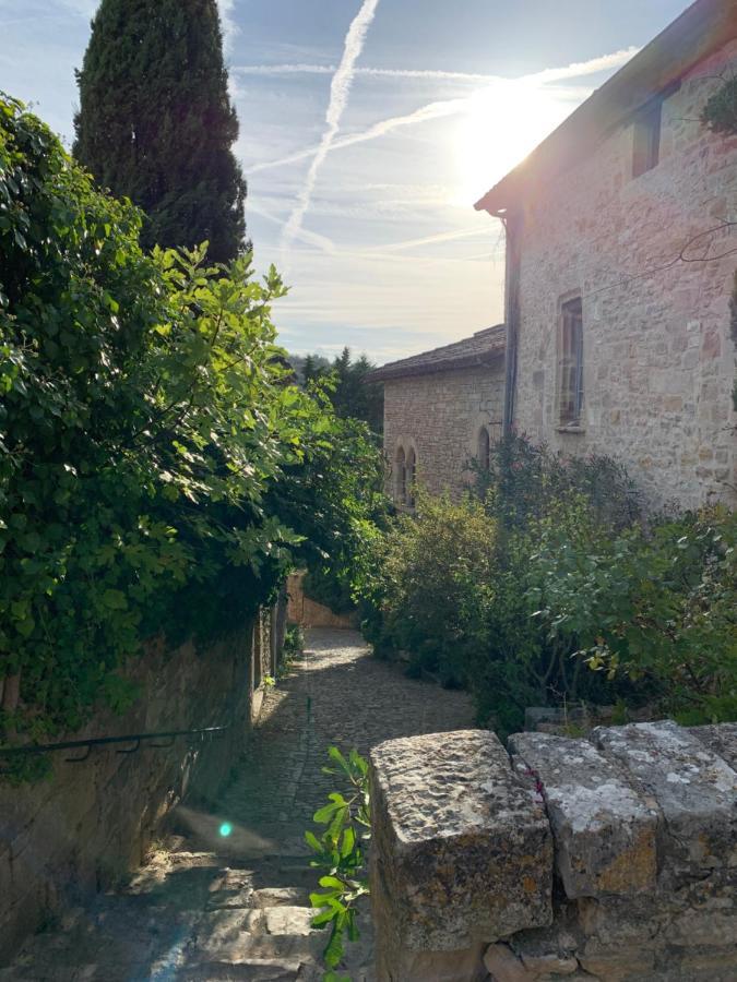 La Maison Des Ecureuils - Bruniquel 外观 照片