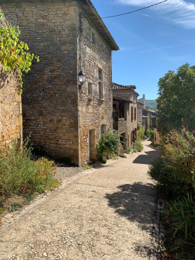 La Maison Des Ecureuils - Bruniquel 外观 照片